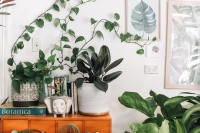 Het betoverende bohemien interieur: kleur en patroon als creatieve elementen